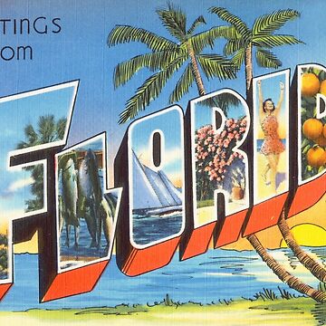 Hello from Miami FLORIDA Vintage Chrome Postcard