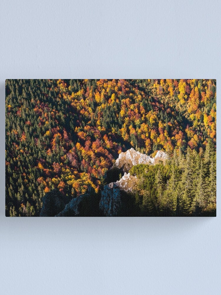 Alternate view of Levels Canvas Print