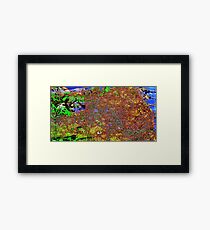 san francisco Framed Print