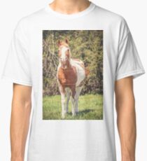 Funny Humor I Classic T-Shirt