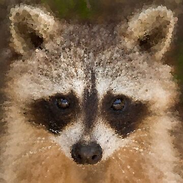 Artwork thumbnail, Happy Raccoon Face! by MathenaArt