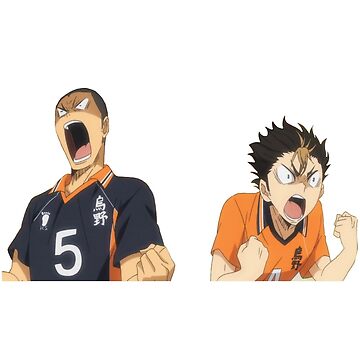 Tanaka and Nishinoya, anime funny, haikyuu, haikyuu funny, HD