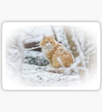 Snow Cat Sticker