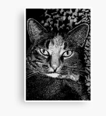 Blink! Canvas Print