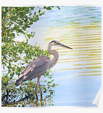 Shadow Heron Poster