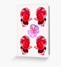 Rose v Camellia Greeting Card