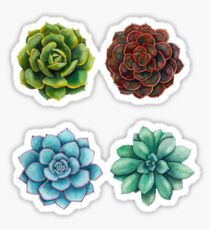Succulent Sticker