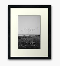 Cape Sable Birds Framed Print