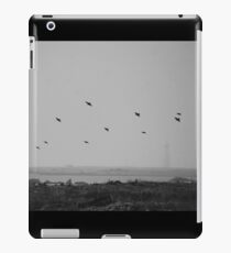 Cable Sable Island Birds iPad Case/Skin