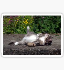 Happy cat Sticker