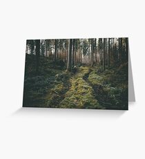 Junge, der durch mystische Waldlandschaftsphotographie geht Grußkarte