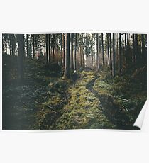 Boy walking through mystic forest landscape photography Poster