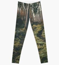 Boy walking through mystic forest landscape photography Leggings