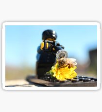 Mini Nature Photographer Sticker