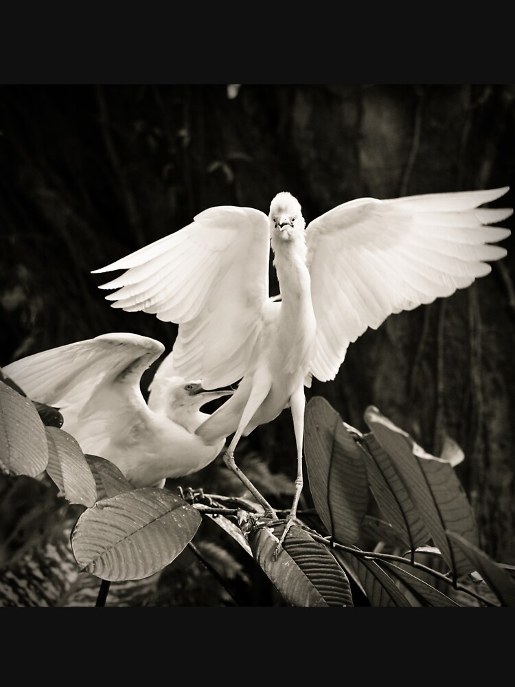 White bird dance by Juhku