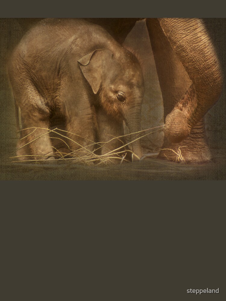 Close to mom... by steppeland