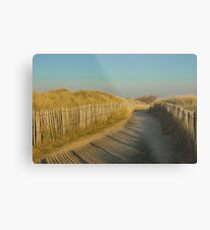 Path through the dunes Metal Print