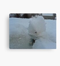 SNOW BOUND LITTLE FROG Metal Print