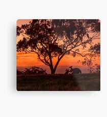 Australiana Metal Print