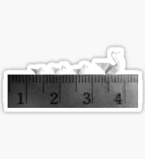 3cm Family Swim Sticker