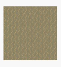 Brown bent/velvet bent Photographic Print