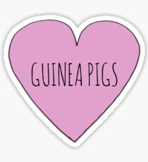 Guniea Pig Love Sticker