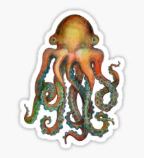 Octopus or Squid? It's a Cephalopod! Sticker