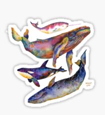 Four Whales Pyramid Sticker