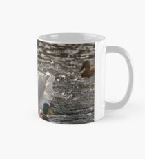 Swan on the Neckar Mug
