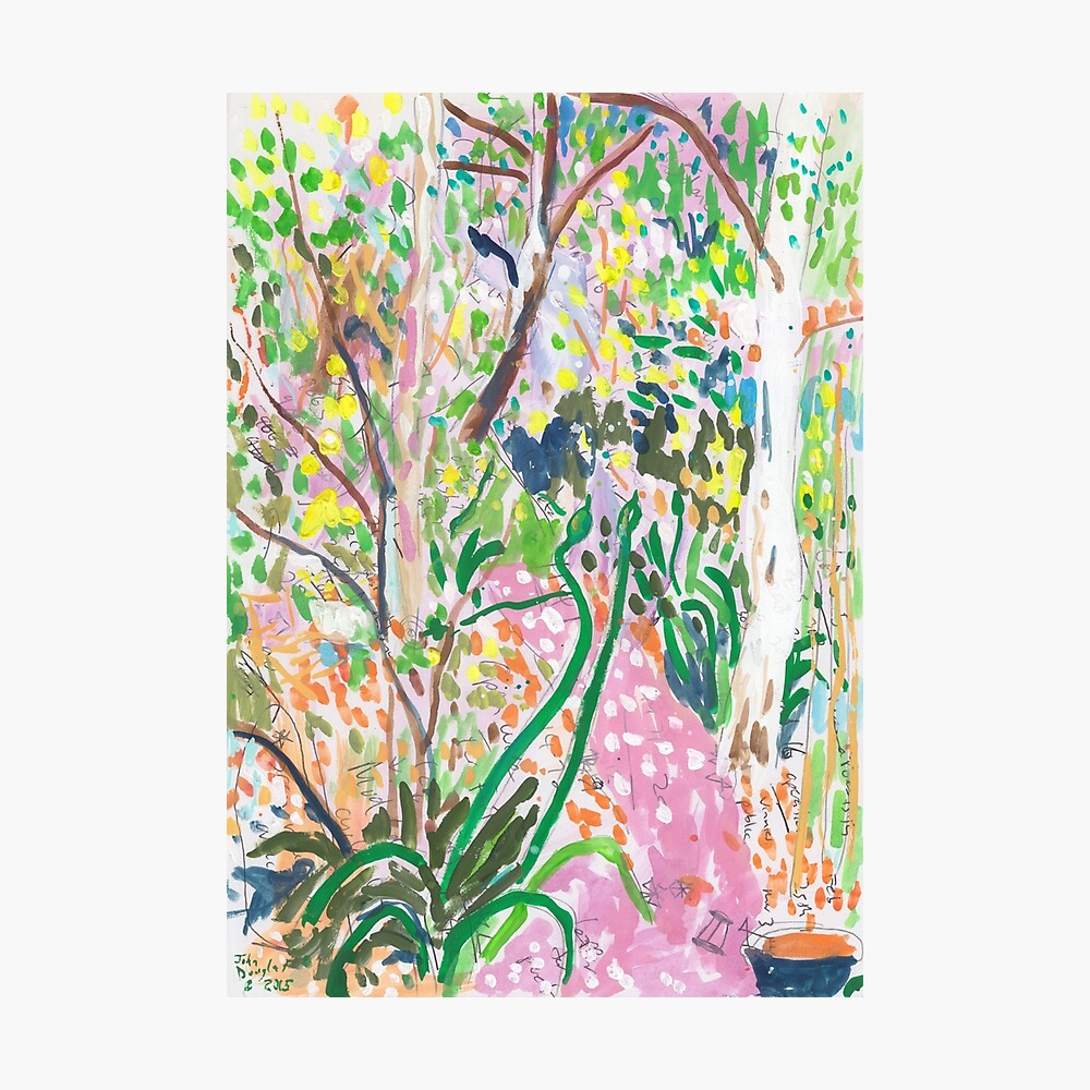 Backyard Photographic Print