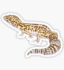 Pegatina Bell Albino Leopard Gecko