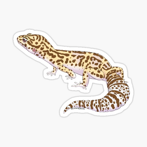 Bell Albino Leopard Gecko Sticker