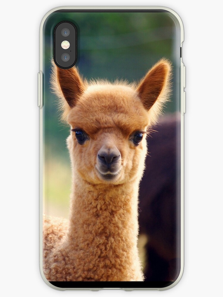 alpaca iphone xs case alpaca iphone xs case