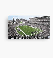 Philadelphia Eagles Nest Metal Print