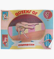 Queens of contortion. Poster