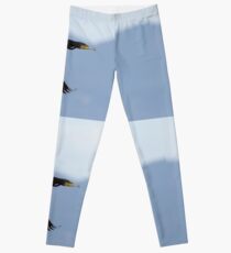 Cormorant in flight over Lago Trasimeno, Umbria, Italy Leggings