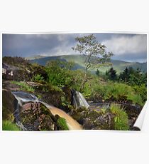The Loup Of Fintry Poster