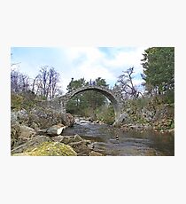 Carrbridge Dippers. Photographic Print