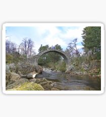 Carrbridge Dippers. Sticker