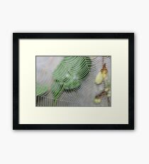 spider web in the dew by bs hilton Framed Print
