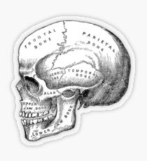 Skull 2.0 Transparent Sticker