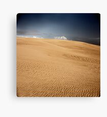Brave New World Canvas Print