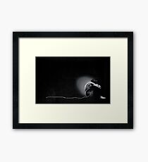 Birth Framed Print