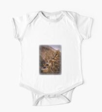 Granny's Teeth in Lyme Regis One Piece - Short Sleeve
