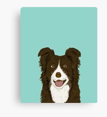 Border Collie mint pet portrait cute dog illustration chocolate brown collie down owner with border collie herding breed Canvas Print