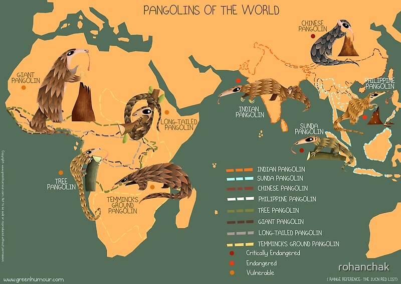 "The Pangolin Map of the World" by rohanchak Redbubble