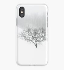 Winter Scenic iPhone Case/Skin