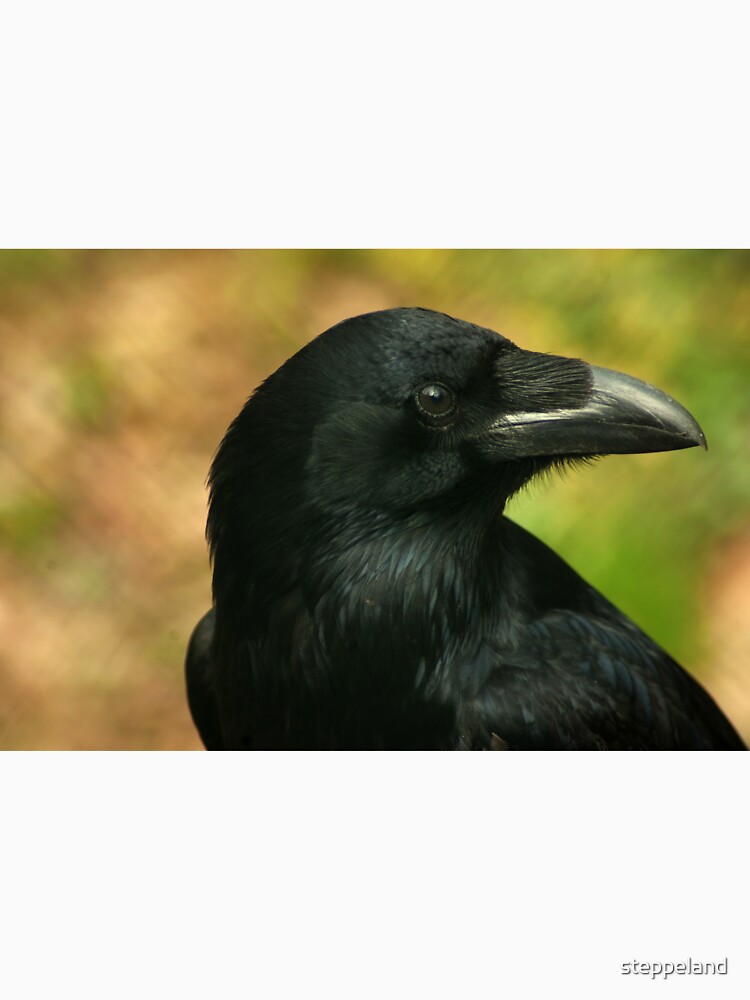Raven, totem bird ... by steppeland