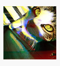 That's One Glitchin' Kitty Photographic Print