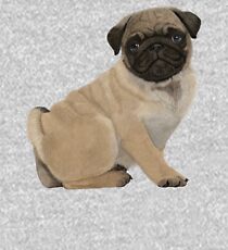 Pug puppy cuteness Kids Pullover Hoodie